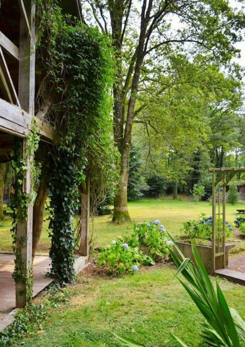 Chalet Cosy Au Coeur De La Foret De Broceliande Beignon Luaran gambar